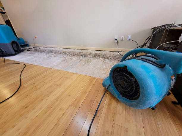 Professional Structural Drying technician working in Rensselaerville, NY